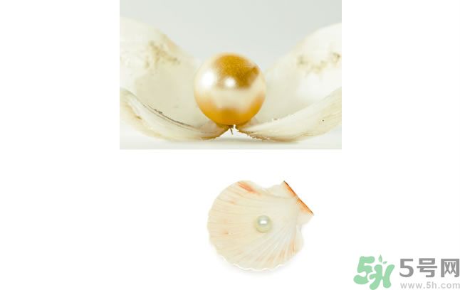 河蚌怎么炒才不會(huì)老？炒河蚌要注意什么？