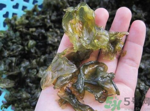 地皮菜孕婦能吃嗎？地皮菜孕婦吃好嗎？