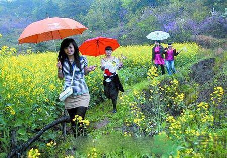 清明節(jié)為什么要踏青？清明節(jié)踏青有什么好處？
