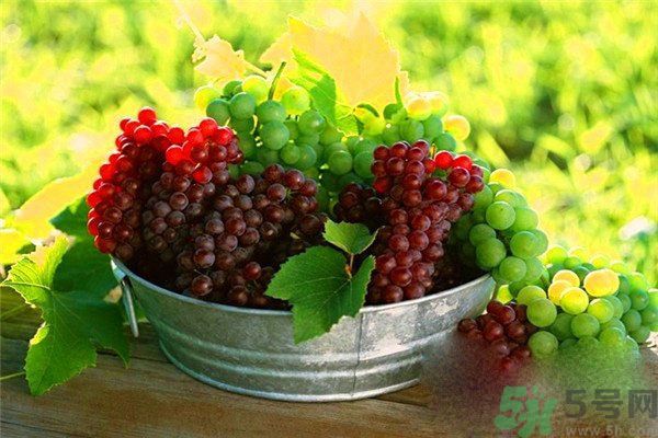 高血脂吃什么水果好？什么水果可以降血脂？