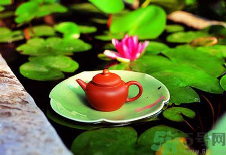 降血脂的茶有哪些？什么茶可以降血脂？