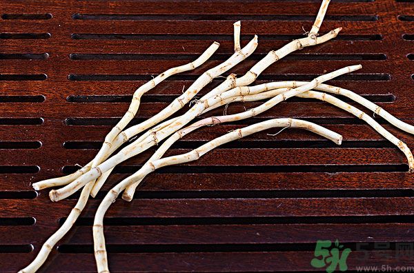魚腥草能泡水喝嗎？魚腥草泡水喝有什么功效？