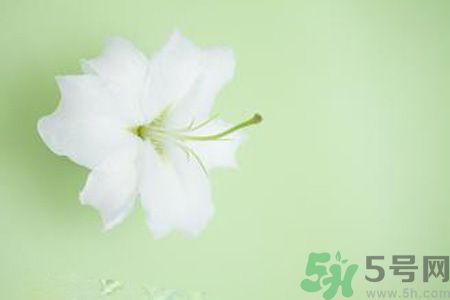 春季咳嗽怎么辦？春季咳嗽吃什么好？