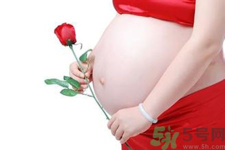 孕婦可以吃枸杞嗎？孕婦吃枸杞好嗎？