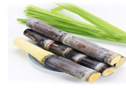 清明節(jié)可以吃甘蔗嗎？清明節(jié)不能吃哪些食物？