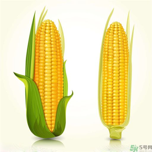 糖尿病可以吃玉米嗎？糖尿病吃玉米好嗎？