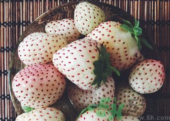 菠蘿莓好吃嗎？菠蘿莓好不好吃？