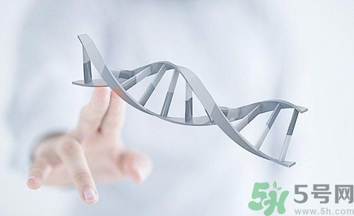 糖尿病會遺傳嗎？糖尿病會遺傳給胎兒嗎？