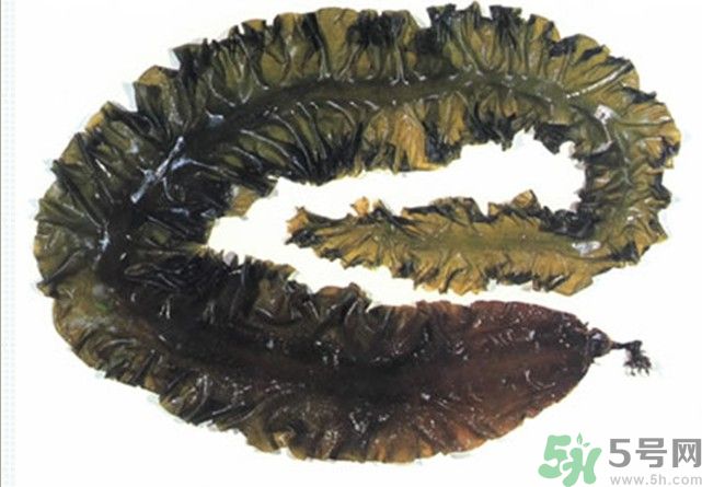 海帶用冷水泡還是熱水泡發(fā)？海帶怎么泡才不會(huì)發(fā)硬？