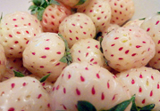 菠蘿莓孕婦能吃嗎？菠蘿莓懷孕可以吃嗎？