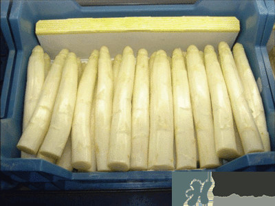 吃蘆筍注意事項(xiàng)有哪些？蘆筍有什么藥用功效？