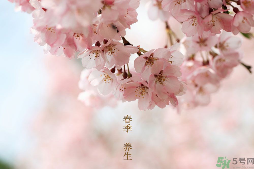 女性春季養(yǎng)生吃什么？女性春季怎么養(yǎng)生？