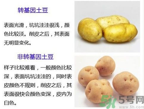 土豆變綠還能吃嗎？土豆變綠有什么危害？