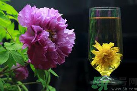 牡丹花可以和菊花一起泡嗎？牡丹花和菊花一起泡茶好嗎？