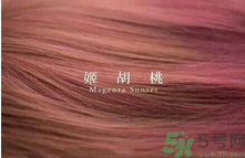 九大色系染發(fā)要怎么選擇？九大色系染發(fā)有什么要求？