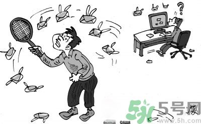 1分鐘被騙334萬(wàn) 釣魚郵件內(nèi)容是什么？