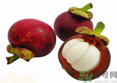 吃山竹會(huì)過敏嗎？吃山竹過敏怎么辦？