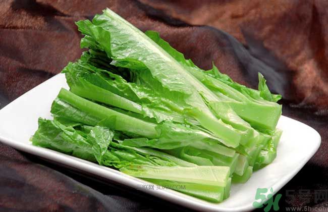 萵筍葉子能吃嗎？萵筍葉子吃了好不好？
