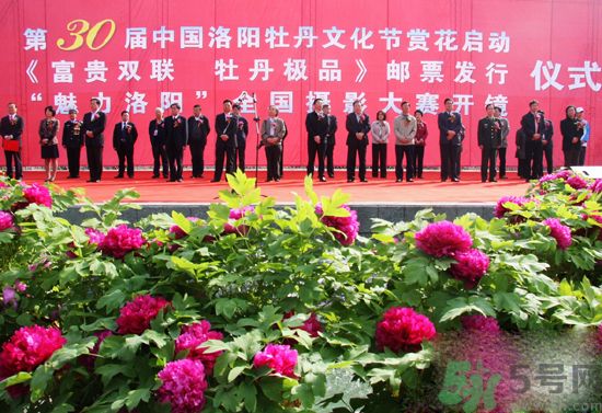 洛陽牡丹文化節(jié)活動(dòng)有哪些？洛陽牡丹文化節(jié)門票是多少？