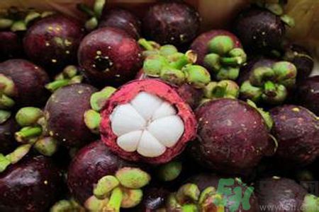 山竹可以和牛奶一起吃嗎？山竹和牛奶一起吃好嗎？