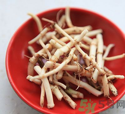 吃涼拌魚腥草可以喝酒嗎？吃魚腥草喝酒好不好？