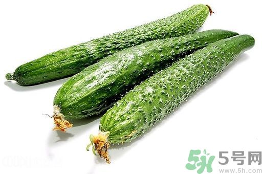 孕婦可以吃生黃瓜嗎？孕婦可以生吃黃瓜嗎？