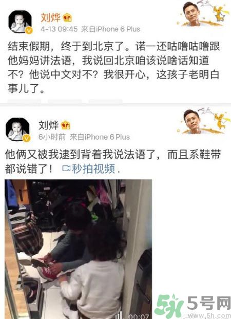 諾一雪梨是誰？為什么叫諾一雪梨？