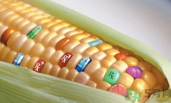 農(nóng)業(yè)部怎樣回應(yīng)轉(zhuǎn)基因食品？轉(zhuǎn)基因的食物有哪些？