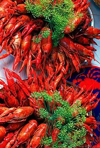 油燜大蝦用的是什么蝦？油燜大蝦用什么蝦最好？