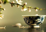 春天喝什么茶養(yǎng)生最好？春天喝茶要注意什么？