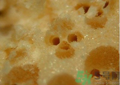 經(jīng)常用一次性筷子可以嗎？一次性筷子有病毒嗎？