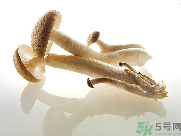 菇類的營(yíng)養(yǎng)價(jià)值有哪些？怎樣挑選優(yōu)質(zhì)的菇類？