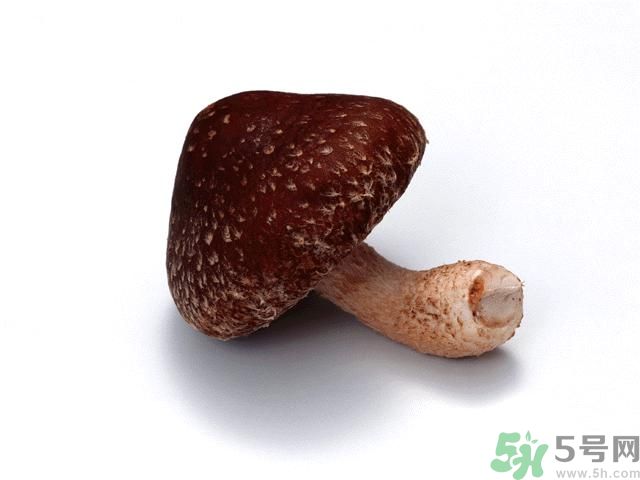 西紅柿發(fā)青可以吃嗎？青西紅柿吃了好不好？