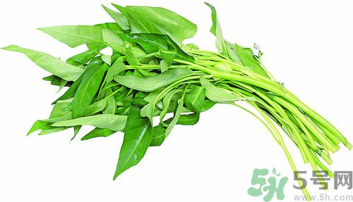 空心菜和雞能一起吃嗎？空心菜怎么吃有營養(yǎng)？