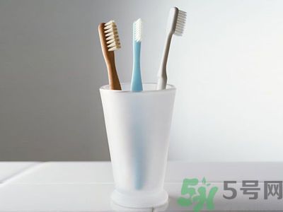 牙齦出血要換牙刷嗎？牙刷多久換一次好？