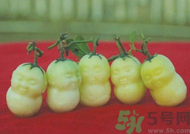 人參果怎么吃？人參果的營養(yǎng)價值有哪些？