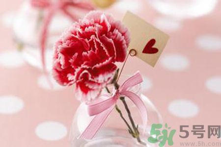 母親節(jié)送什么顏色的康乃馨？母親節(jié)應(yīng)該買什么顏色的康乃馨？