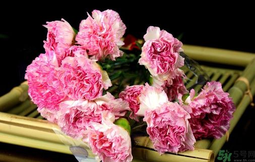 母親節(jié)送什么花好？母親節(jié)應(yīng)該送什么鮮花？