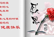 母親節(jié)送什么花好？母親節(jié)應(yīng)該送什么鮮花？
