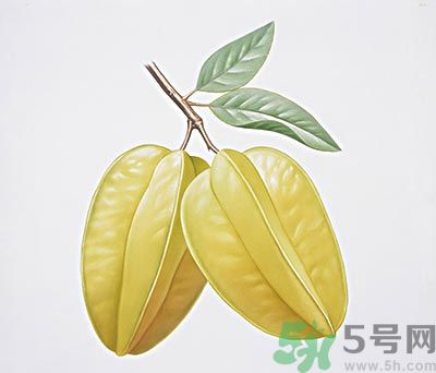 楊桃和什么不能一起吃？楊桃不能與什么同食？