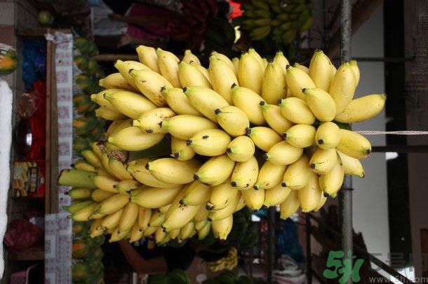 孕婦可以吃牛奶蕉嗎？孕婦吃牛奶蕉好嗎？