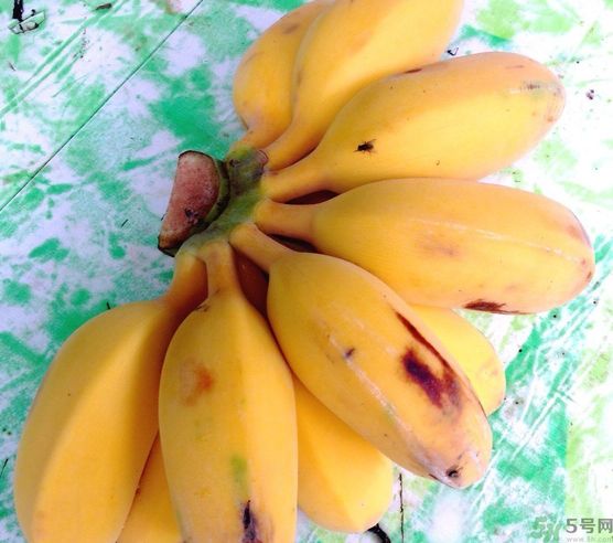 什么是牛奶蕉？牛奶蕉好吃嗎？