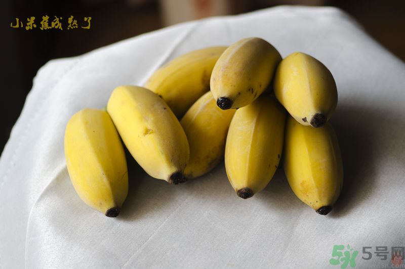 牛奶蕉可以和蘋果一起吃嗎？牛奶蕉和蘋果一起吃好嗎？