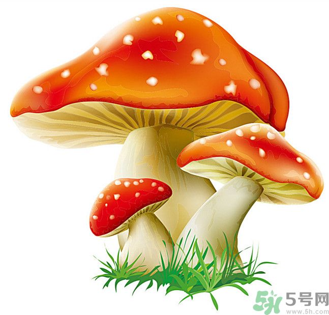 吃蘑菇可以喝酒嗎？吃蘑菇喝酒會(huì)中毒嗎？