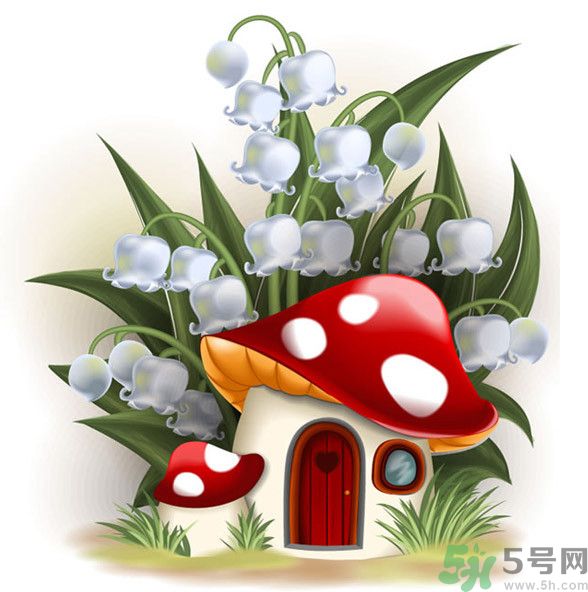 吃蘑菇可以喝酒嗎？吃蘑菇喝酒會(huì)中毒嗎？