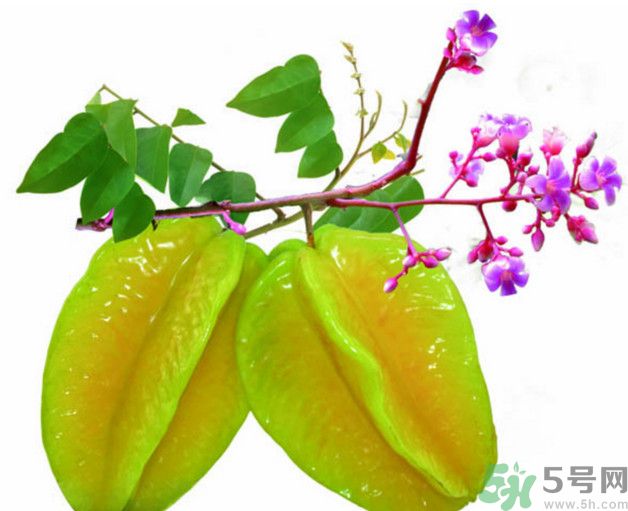 慢性腎炎可以吃楊桃嗎？慢性腎炎吃楊桃好嗎？