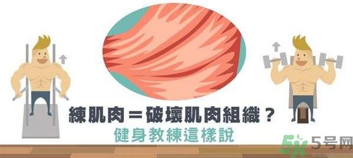 練肌肉會(huì)破壞肌肉組織嗎？練肌肉要注意什么呢？