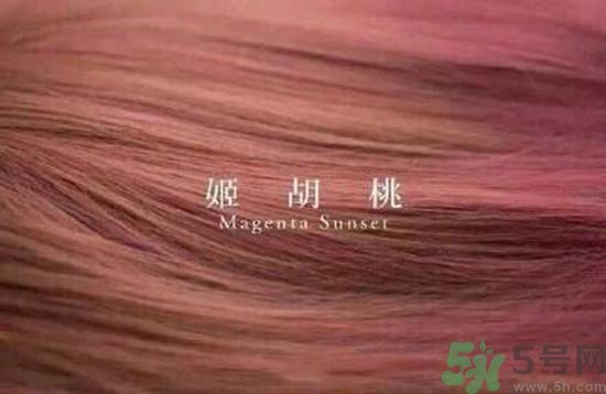 第一次自己染頭發(fā) 今年流行發(fā)色要怎么染？