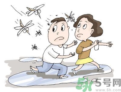 被蚊子咬很癢怎么辦？被蚊子咬要怎么止癢？