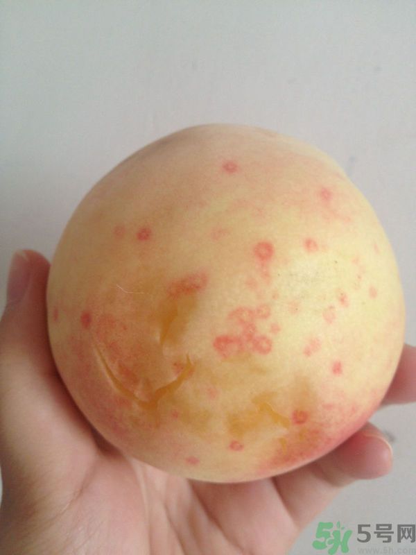 桃子上有紅點能吃嗎？桃子上有黑點可以吃嗎？
